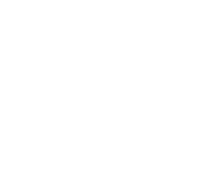 Emily Santarelli