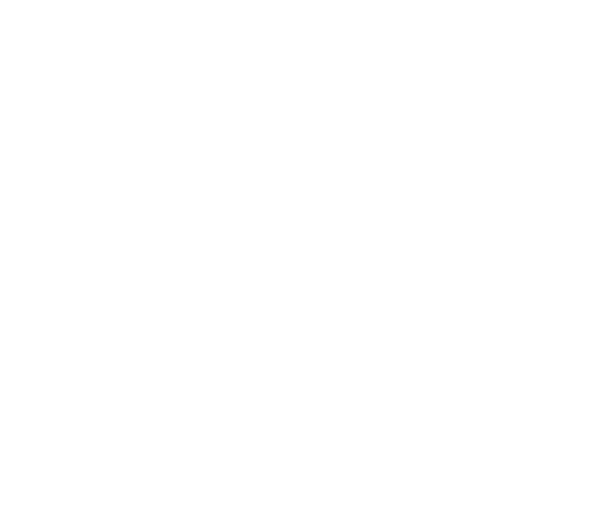 Emily Santarelli